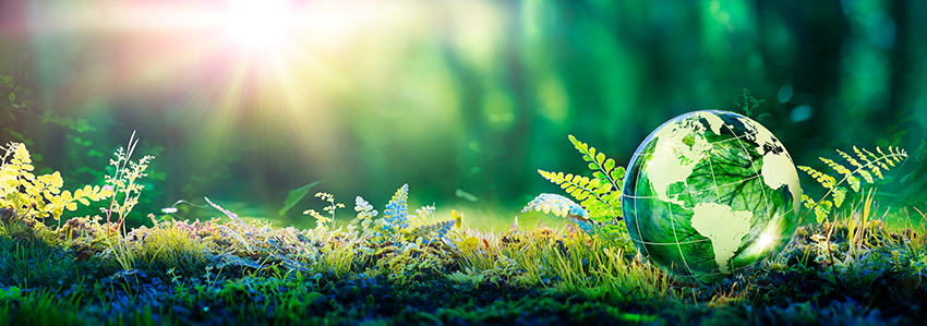 nature-landscape-wereldbol